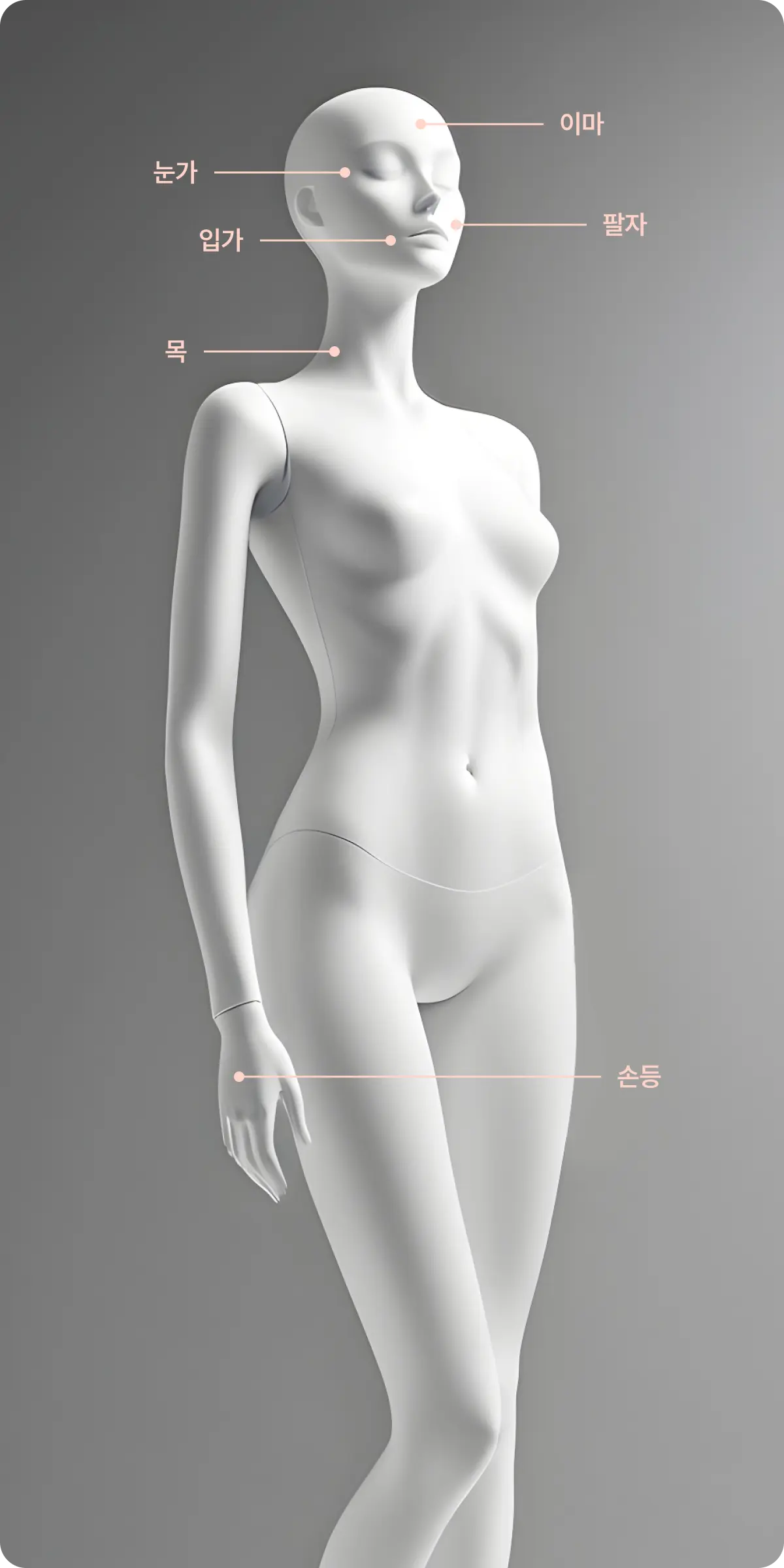 시술 부위 설명 이미지