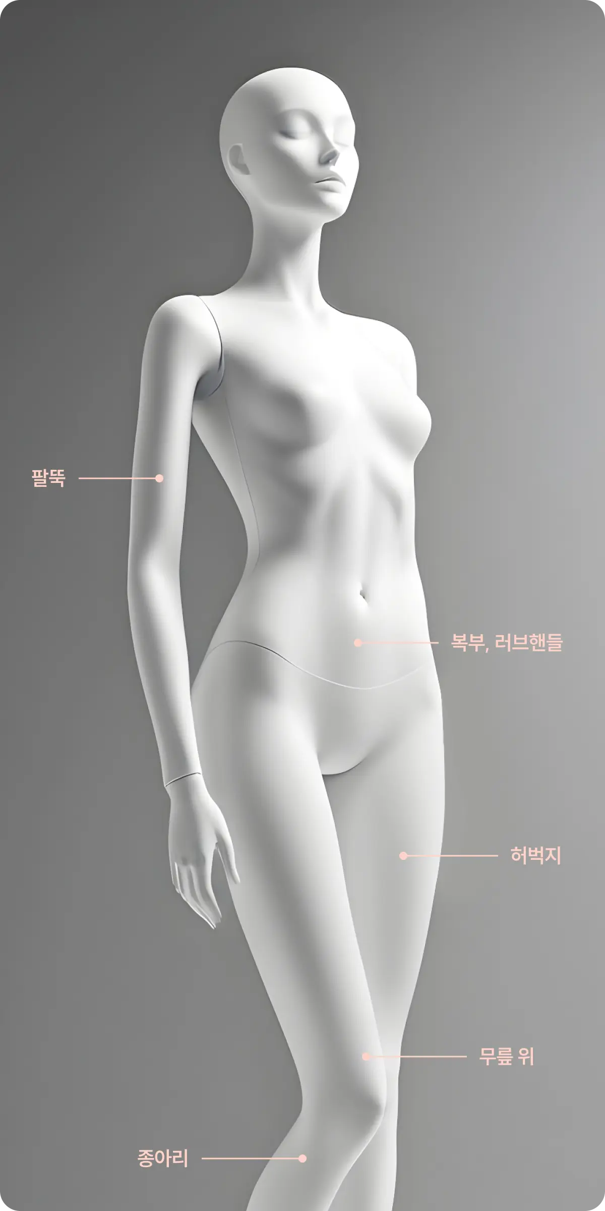 시술 부위 설명 사진