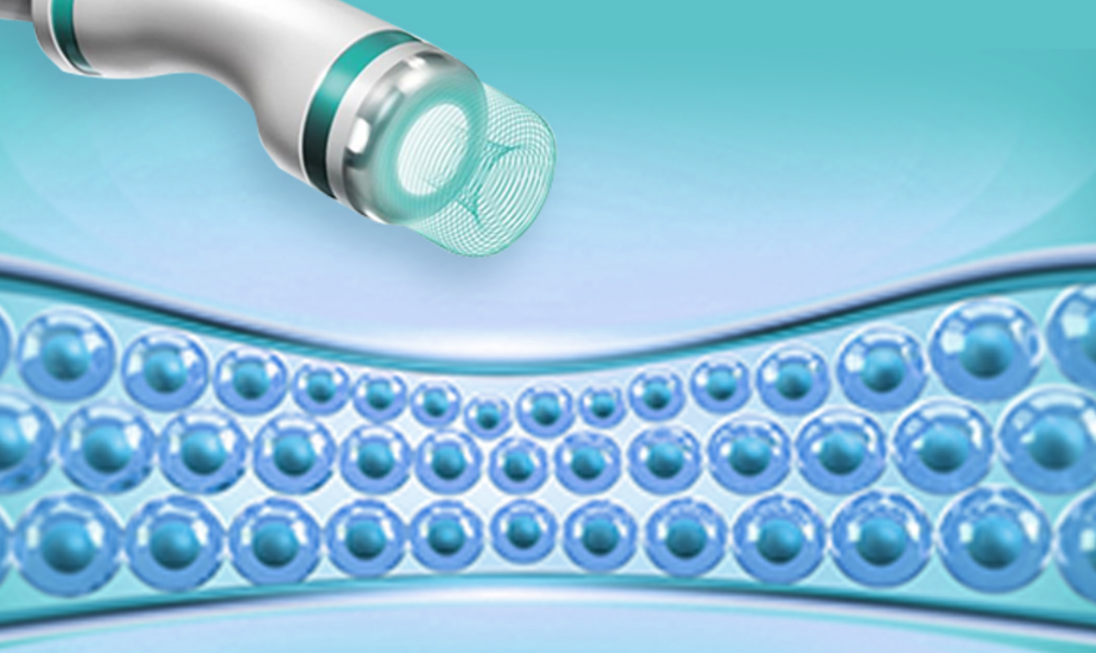 Group photo taken outdoors with participants smiling