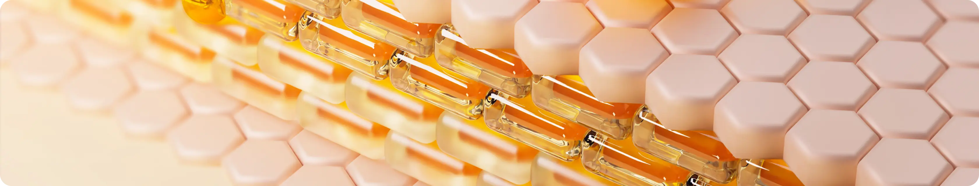 시술 설명 이미지 2