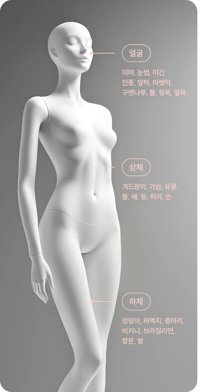 시술 부위 설명 사진