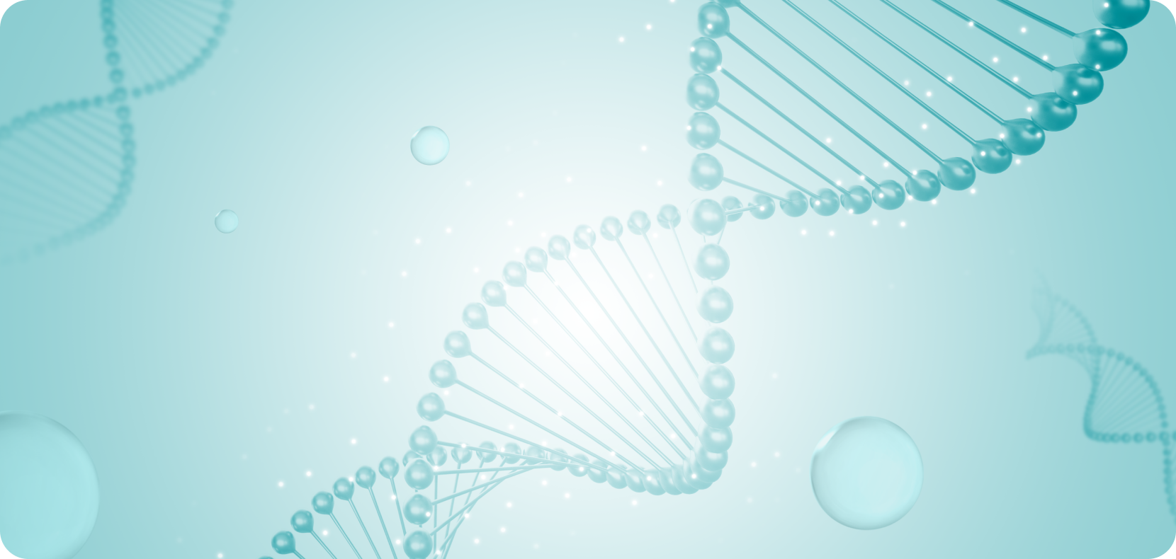 시술 설명 이미지 2