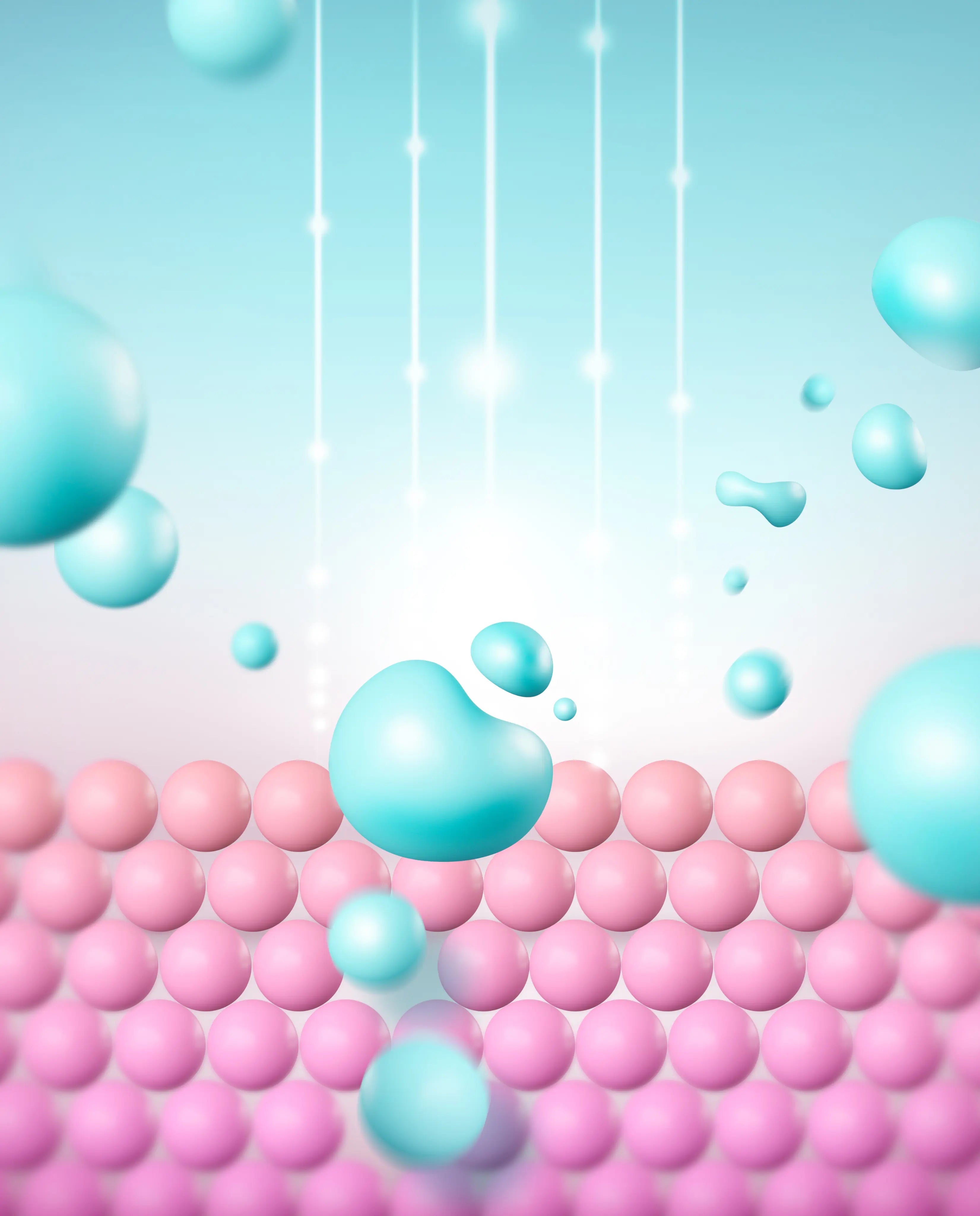 시술 설명 이미지 2