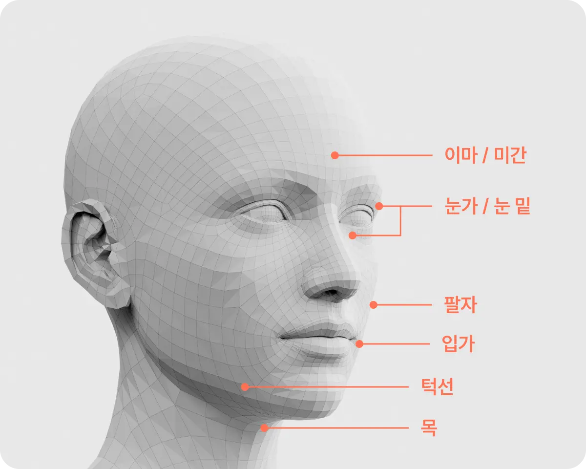 시술 부위 설명 사진