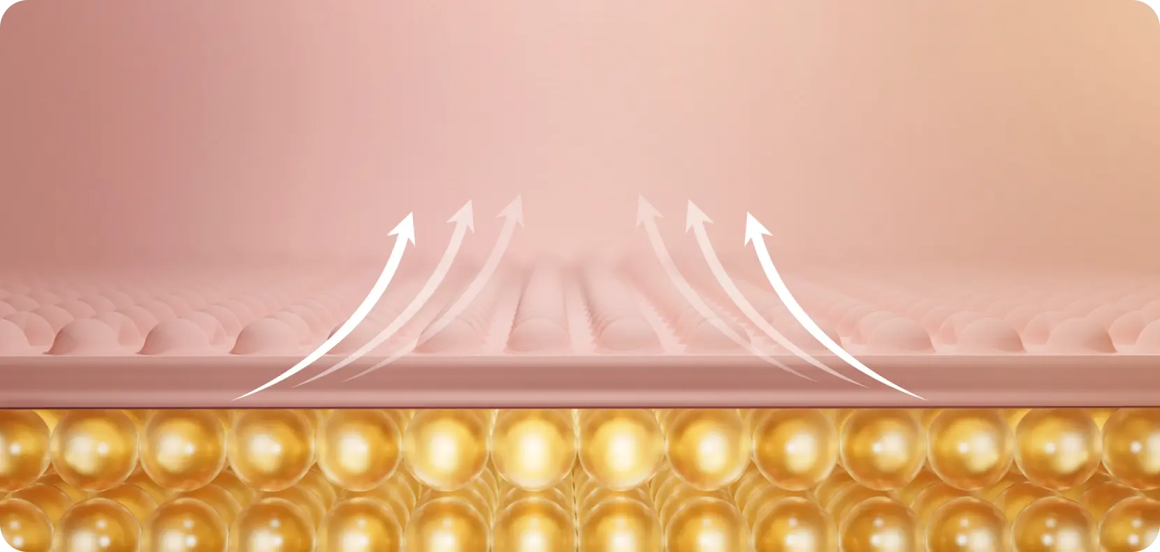 스킨 보톡스 시술 부위 설명 이미지 2