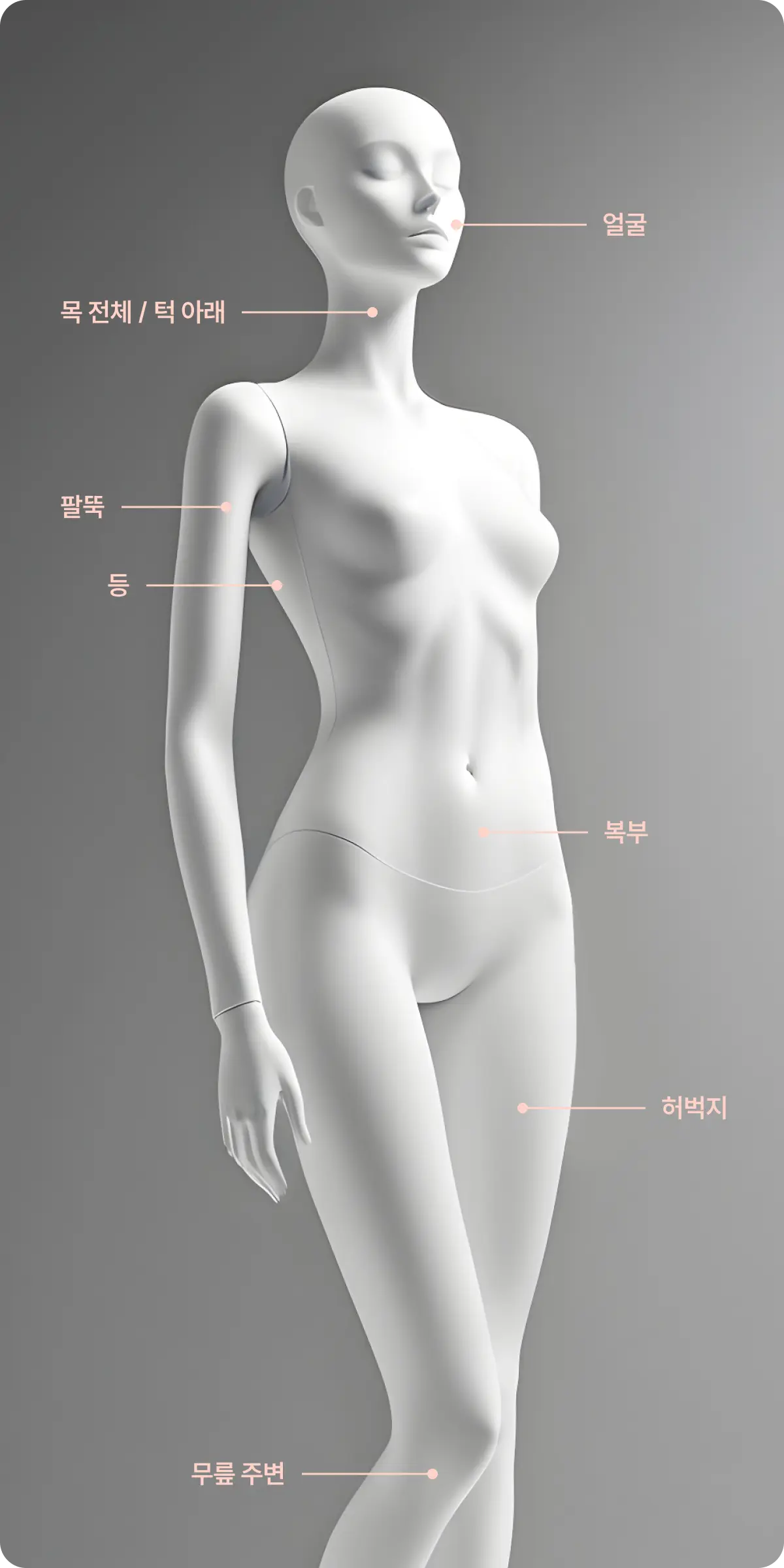 시술 부위 설명 사진