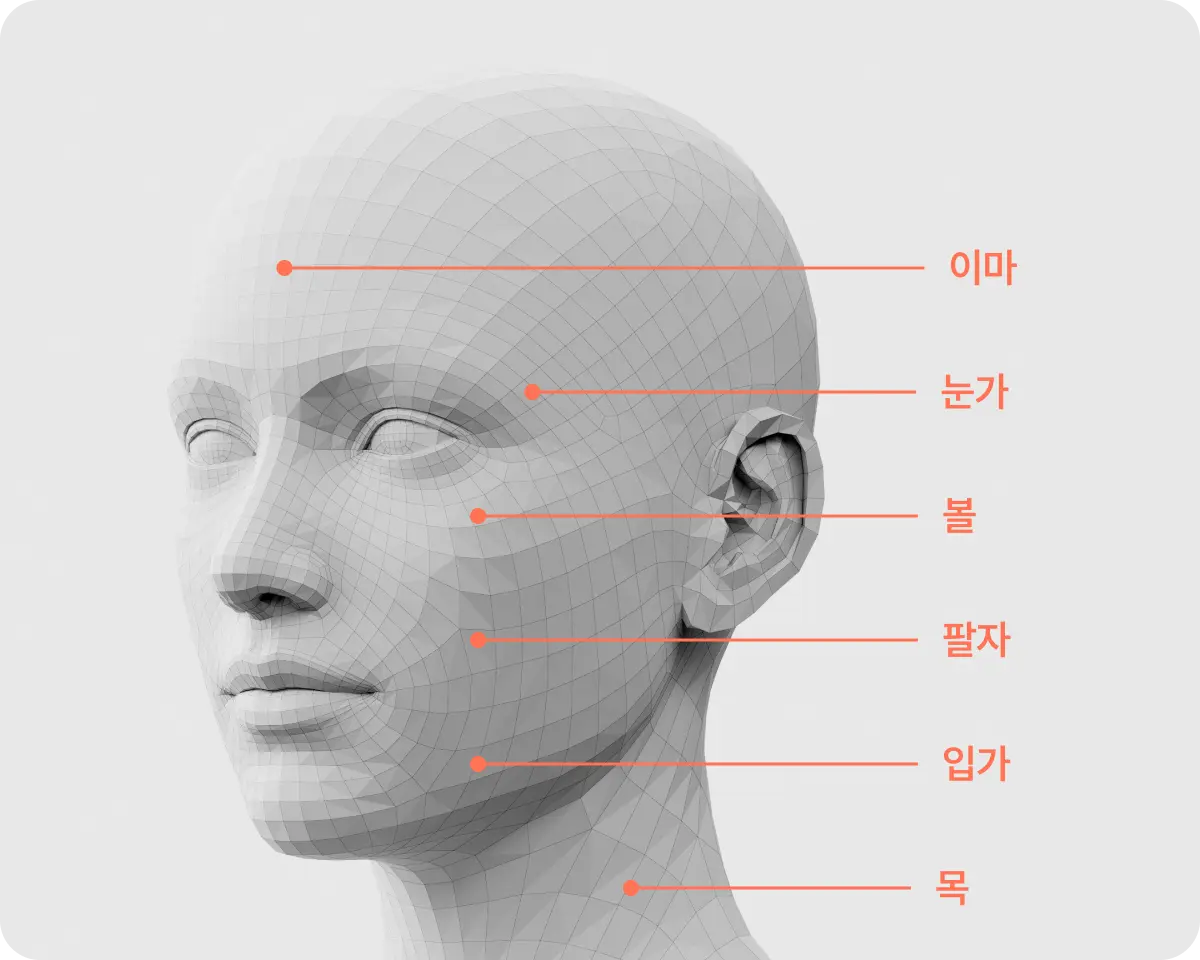 시술 부위 설명 사진