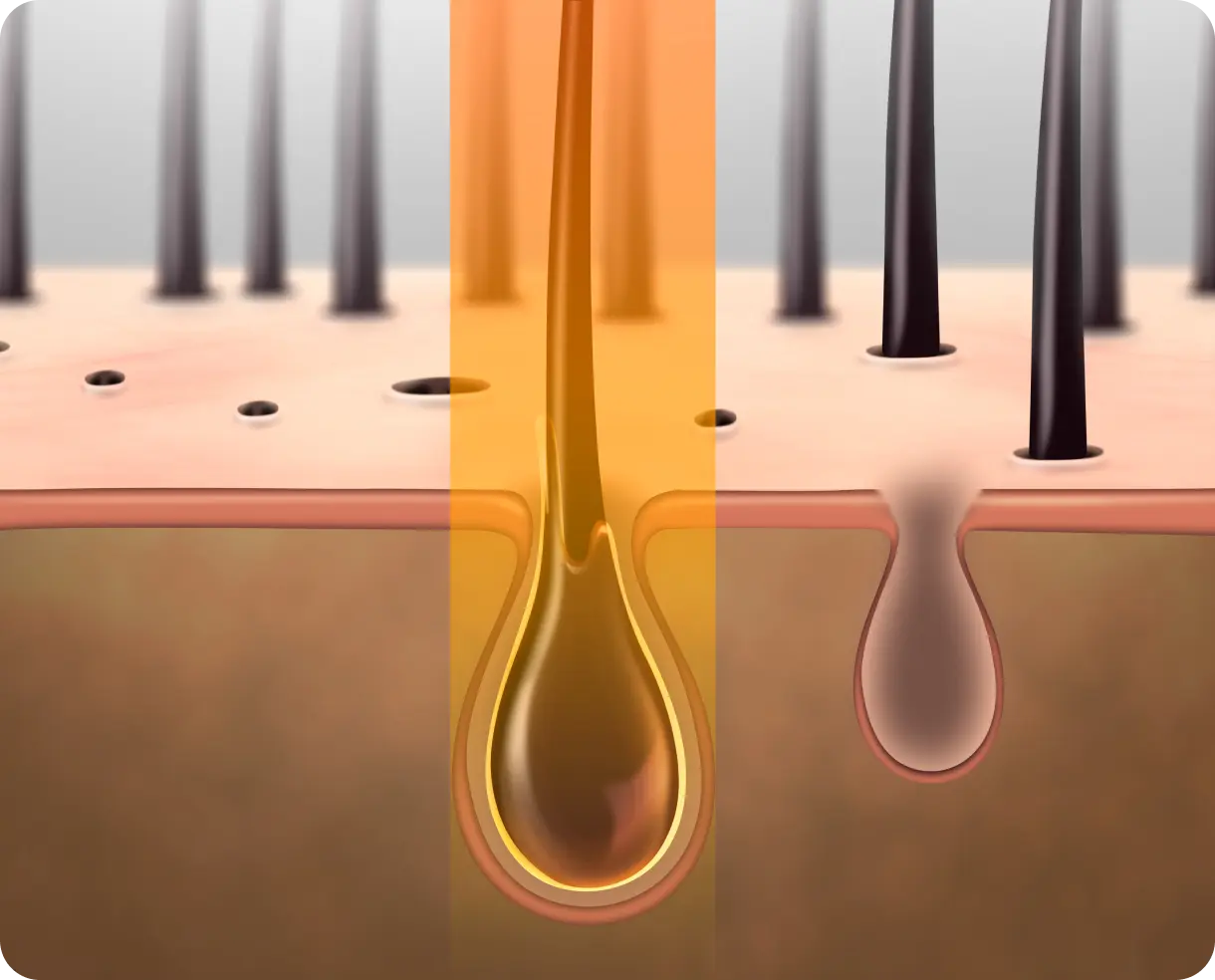 Microscopic view of a virus particle