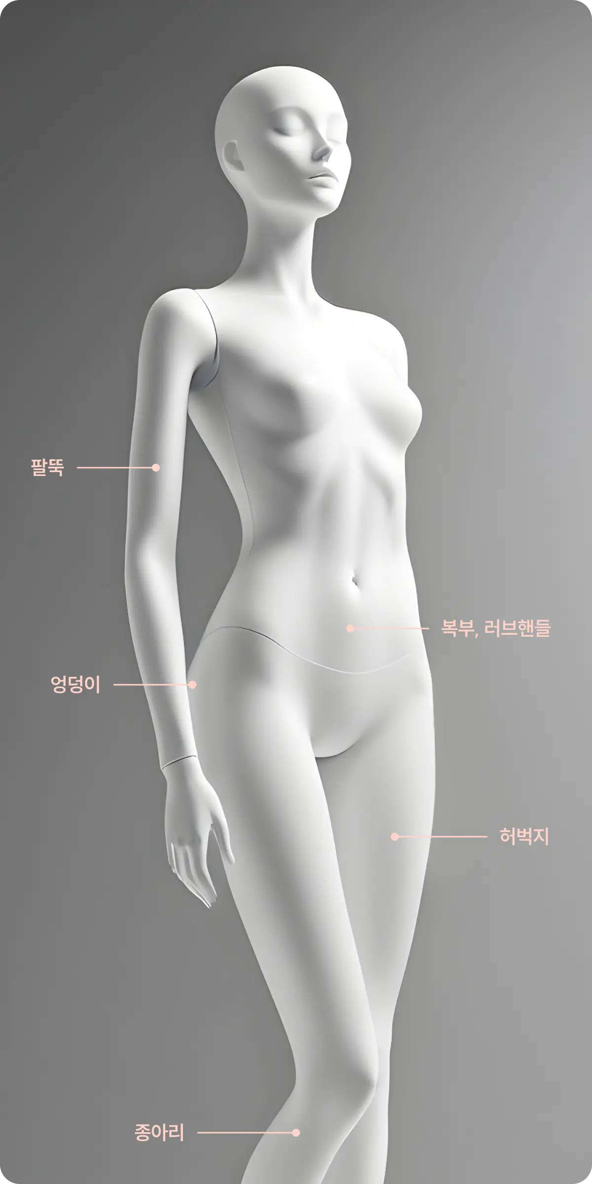 시술 부위 설명 사진