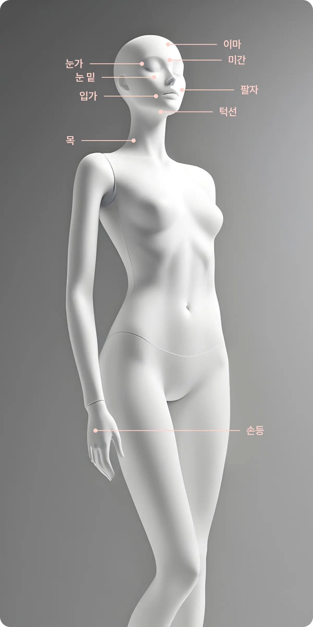 시술 부위 설명 사진